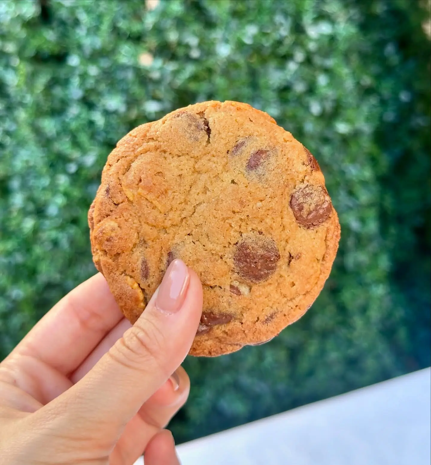 Cookie Biscoito, feito com cornflakes