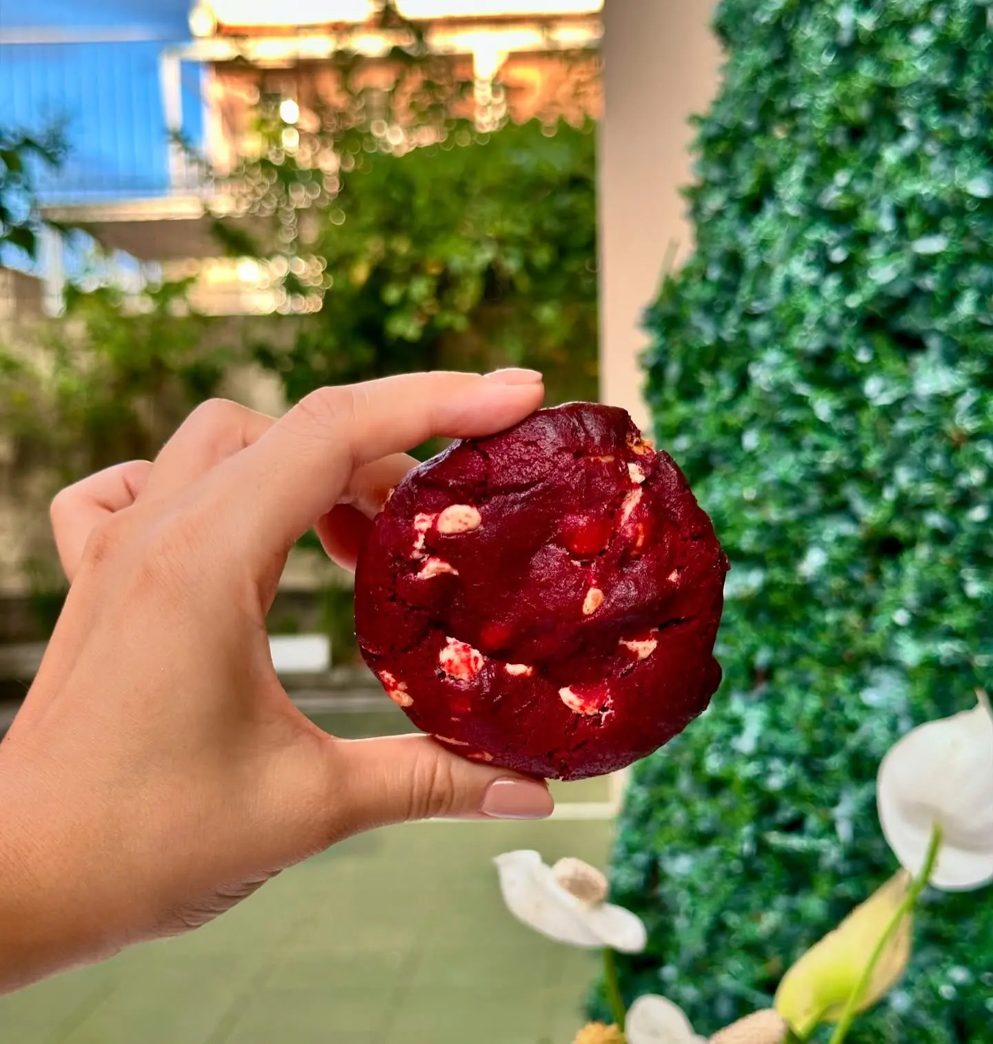 Cookie red velvet inteiro na mão